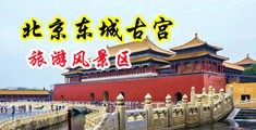 GoGo裸女中国北京-东城古宫旅游风景区